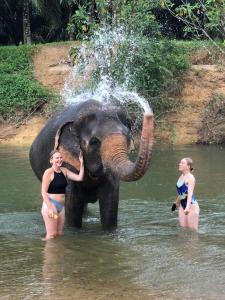 Dos mujeres están bañando un elefante en el agua en Billion Views Khaosok Homestay, en Khao Sok
