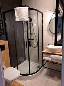 een badkamer met een douche en een wastafel bij Nad Lipami in Szczyrk