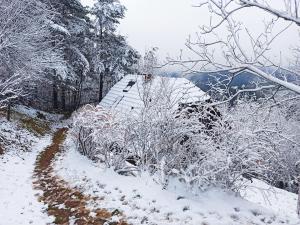 un camino cubierto de nieve con arbustos y árboles en serenity en Dramlje