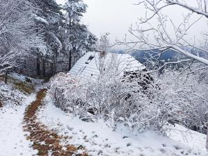 un camino cubierto de nieve con arbustos y árboles en serenity, en Dramlje