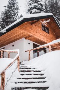 uma casa coberta de neve com escadas à frente em Dychnij Se em Szczyrk