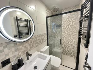 a bathroom with a sink and a mirror and a shower at HomeStay Lopez Pando in Madrid