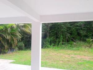 a view from a window of a field and trees at Appartement de 2 chambres avec jardin amenage et wifi a Le Lamentin a 4 km de la plage in Le Lamentin