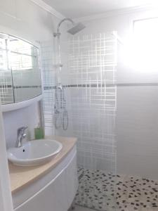 Ванная комната в Appartement de 2 chambres avec jardin amenage et wifi a Le Lamentin a 4 km de la plage