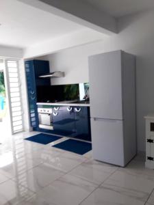 a kitchen with blue cabinets and a white refrigerator at Appartement de 2 chambres avec jardin amenage et wifi a Le Lamentin a 4 km de la plage in Le Lamentin