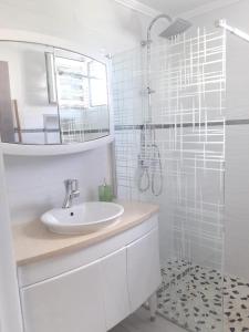 a white bathroom with a sink and a shower at Appartement de 2 chambres avec jardin amenage et wifi a Le Lamentin a 4 km de la plage in Le Lamentin