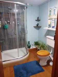 Middle Cottage Sandy Haven Beach في ميلفورد هافن: حمام مع دش ومرحاض مع سجادة زرقاء