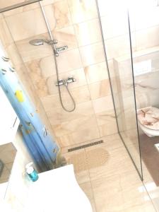 a shower with a glass door and a toilet at Mandre Duplex Apartment in Mandre +24 photos