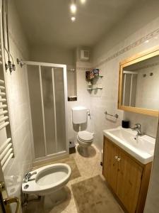 a bathroom with a shower and a toilet and a sink at Chicca nel cuore dell'Abetone in Abetone