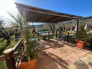 Agriturismo IL VIAIO内部或周边的泳池