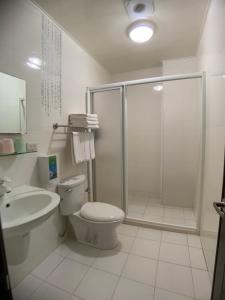 a bathroom with a shower and a toilet and a sink at 居歇座民宿 in Magong