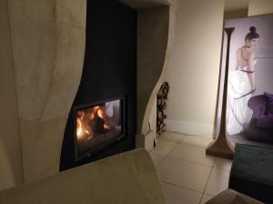 ブンツラウにあるVilla Toscana Luxury Loftの暖炉付きのリビングルーム