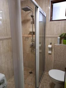 a bathroom with a shower with a toilet and a sink at APARTMENT TONI / 2BEDROOMS in Varna City