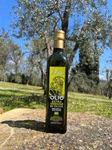 菲耶索莱Agriturismo IL VIAIO的相册照片