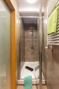 a shower with a glass door in a bathroom at Apartamento Puente de Segovia in Madrid