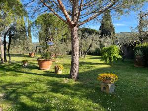 Agriturismo IL VIAIO外面的花园