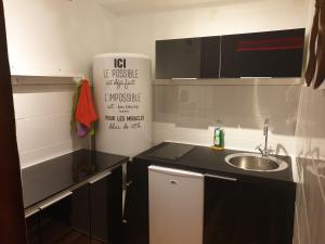 una pequeña cocina con fregadero y nevera. en SPA Celyna appartement avec jacuzzi privatif en Lyon