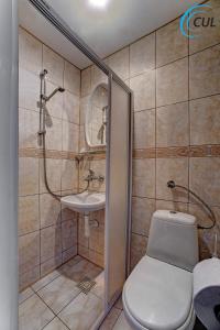 a bathroom with a shower and a toilet and a sink at Jawor in Polańczyk