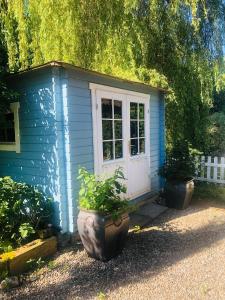 Villa Kunterbunt外面的花园