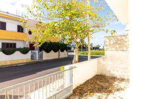 un albero su un marciapiede accanto a una strada di Rainbow Apartment - Torre dell'orso a Torre dell'Orso