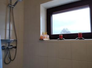 ein Bad mit einer Dusche und einem Fenster in der Unterkunft Apartment am See - Borken, Hessen in Borken