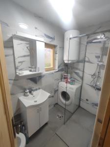 łazienka z umywalką i toaletą w obiekcie Vila Helena w mieście Kolašin