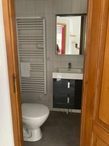 een badkamer met een toilet, een wastafel en een spiegel bij "Là-haut" free parking in Trois-Épis