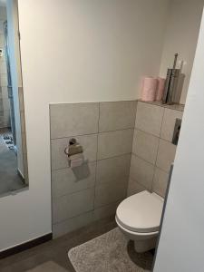 a bathroom with a toilet and a mirror at Lac et Montagne in Chorges