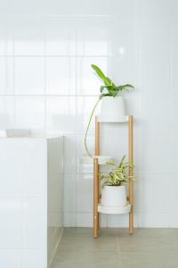 a shelf with two plants on it in a bathroom at Kata Seaview Jacuzzi Suite - Pasifora in Kata Beach +14 photos