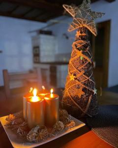 a group of candles on a plate with a christmas tree at Chaloupka pod hradem in Svojanov