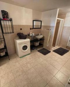 a bathroom with a washing machine and a sink at Chaloupka pod hradem in Svojanov