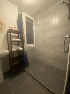 La salle de bains est pourvue d'une douche et d'une étagère avec des serviettes. dans l'établissement Maison De Savoie, à Saint-Pierre-dʼAlbigny