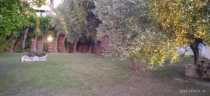 Zahrada ubytování Lemonis House