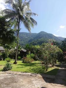 a palm tree in a yard with a mountain in the background at Lattanavongsa guesthouse and Bungalows in Muang Ngoy