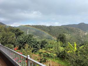 um arco-íris no meio de uma colina com árvores em Sea Mountain House em Machico