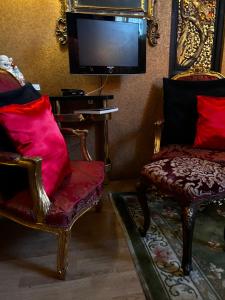 LU Suites في تورينو: غرفة معيشة مع كرسيين وتلفزيون