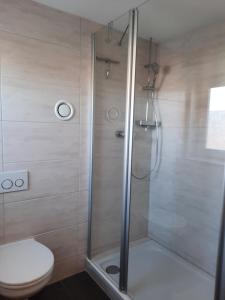 a bathroom with a shower with a toilet at cosy home in Dresden