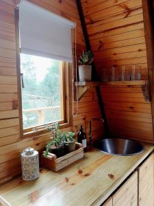 a sink in a wooden kitchen with a window at Gaia A-frame cabin in Swellendam