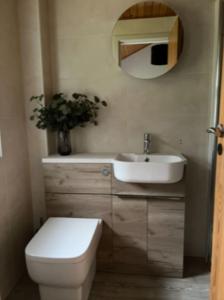 uma casa de banho com um lavatório, um WC e um espelho. em Bell Rock Holiday Lodge em Killin