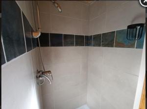 a bathroom with a shower with a toilet in it at Logement insolite au cœur de l'Auvergne in Rochefort-Montagne