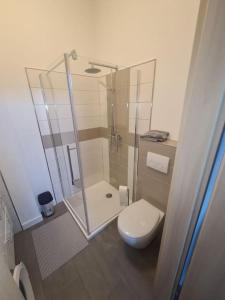 a bathroom with a glass shower and a toilet at Apartament Suite 2 in Bernburg