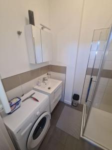 a bathroom with a washing machine and a sink at Apartament Suite 2 in Bernburg
