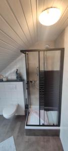 bagno con doccia e servizi igienici. di Ferienwohnung 2 - Leopold a Cuxhaven