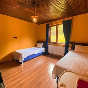 1 Schlafzimmer mit 2 Betten und einem Fenster in der Unterkunft Kozalak Villa in Sapanca