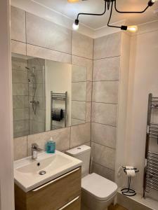 a bathroom with a sink and a toilet and a mirror at Mango Tree Apartment in Cambridge