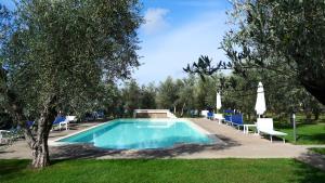 a swimming pool with lawn chairs and umbrellas at Agriturismo I Due Casali in Vetralla