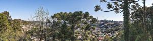 uma vista para uma cidade a partir de uma colina com árvores em LOCAR-IN GRAMADO Monte Serrat - Coração de Gramado - Centro em Gramado