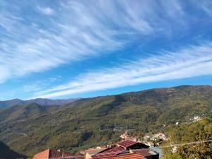 Φυσικό τοπίο κοντά σε αυτό το διαμέρισμα