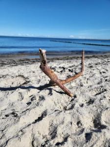 Naturlandskabet i nærheden af feriehuset