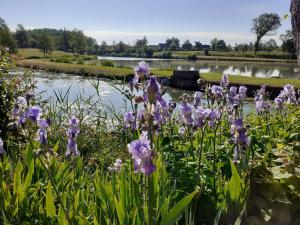a garden with purple flowers in front of a lake at L'Epicurienne in Simandre